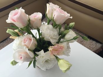 Close-up of pink roses