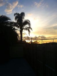 Silhouette palm trees against sky during sunset