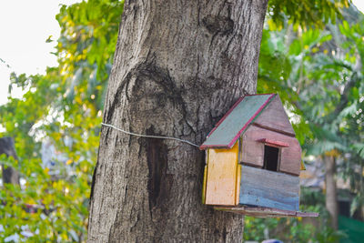 Close-up of birdhouse on tree trunk