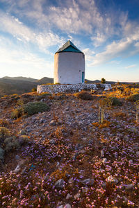 Old windmill and late spring flowers on kimolos island in greece.