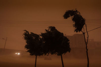 Low angle view of silhouette tree against sky during sunset