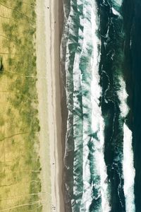 Aerial view of sea shore