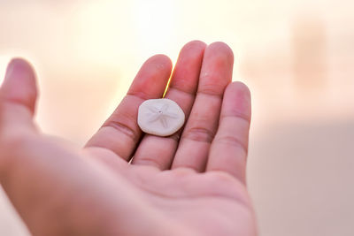 Close-up of person holding hands