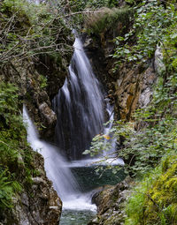 Scenic view of waterfall in forest