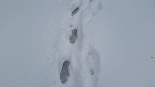 Close-up of snow