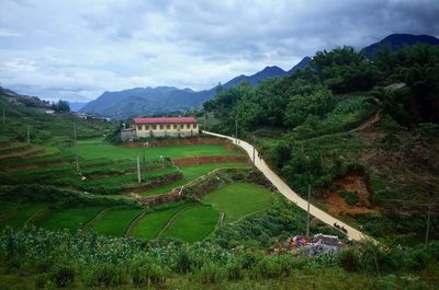 Scenic view of field against sky