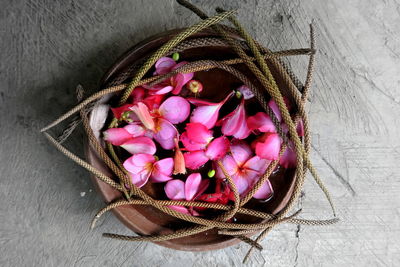 Close-up of flowers