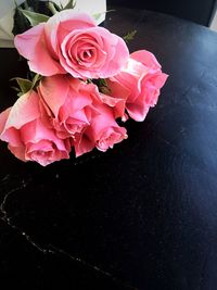 Close-up of pink roses