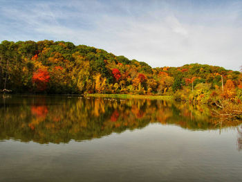 Scenic view of lake by trees against sky