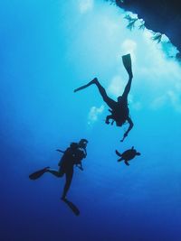 Low angle view of friends scuba diving undersea