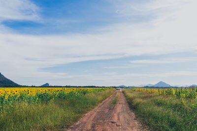 Dirt road amidst field against sky