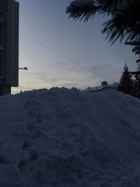 Snow covered trees and buildings against sky