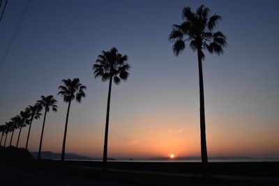 Silhouette palm trees against sky during sunset