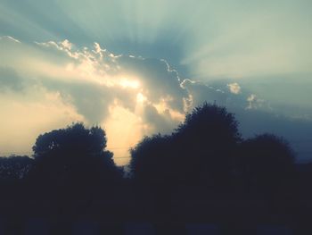 Low angle view of silhouette trees against sky during sunset