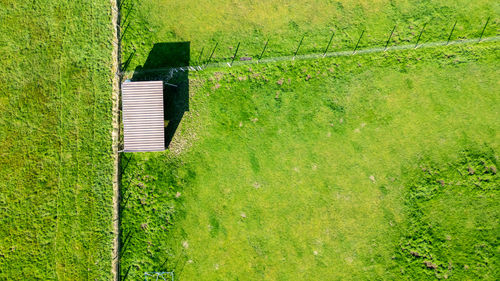 High angle view of grassy field