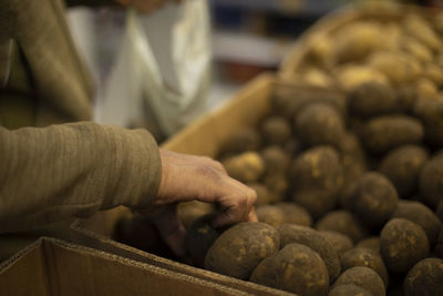 Selection of potatoes on market. purchase of vegetables. natural products in store. 