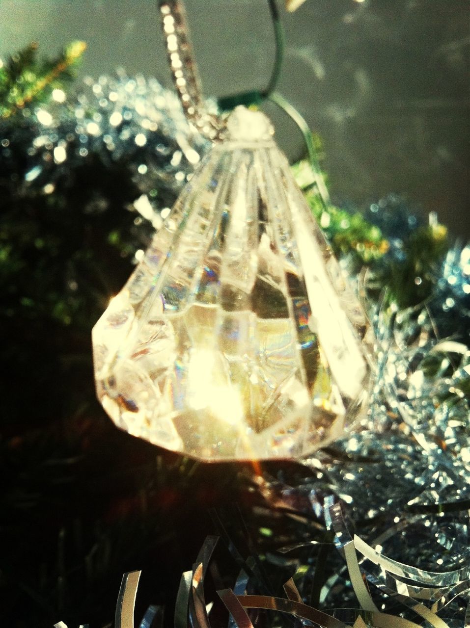 close-up, focus on foreground, water, reflection, nature, outdoors, selective focus, day, no people, sunlight, forest, high angle view, wood - material, animal themes, hanging, tranquility, animals in the wild, wildlife, tree, spider web