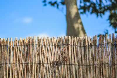 Close-up of fence against sky
