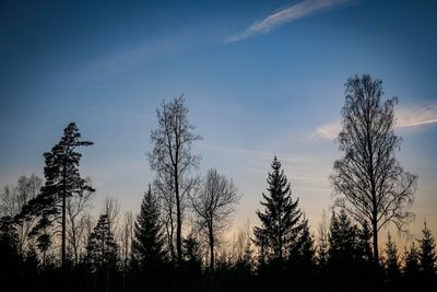 Low angle view of silhouette trees against sky during sunset