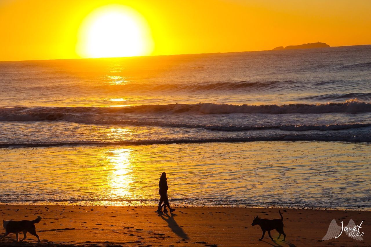 SILHOUETTE PEOPLE ON BEACH DURING SUNSET