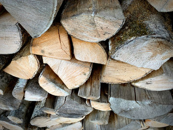 Full frame shot of logs in forest