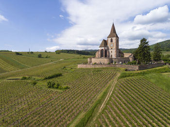 Little church on hill in vineyard