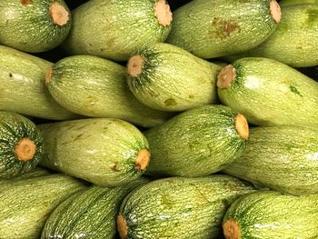 Full frame shot of green squash at market for sale