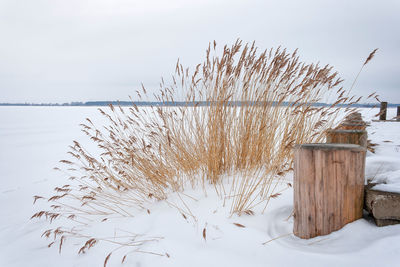 Scenic view of snow covered field against sky