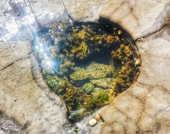 Rocks in sea