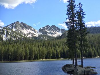 Scenic view of lake in forest during winter