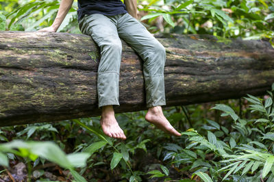 Low section of man on tree trunk in forest
