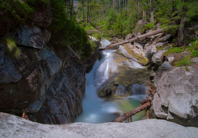 Scenic view of waterfall in forest