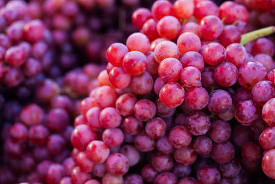 Close-up of grapes