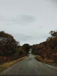 Road amidst trees against sky