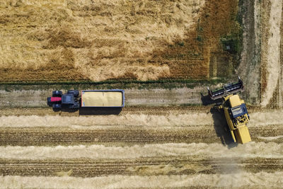 Harvesting scene in the italian countryside