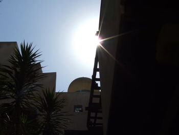 Low angle view of palm trees and building against sky