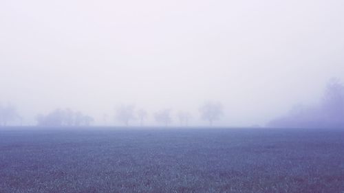 Scenic view of field against sky during foggy weather