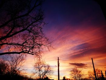 Silhouette of bare tree at sunset