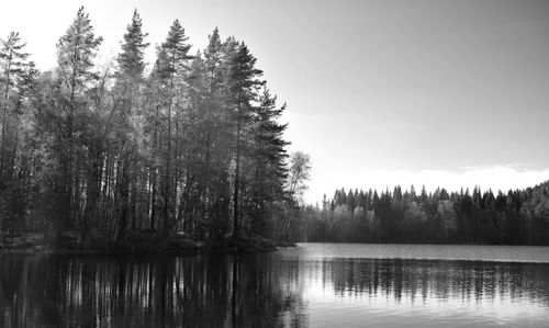 Trees by lake in forest against sky