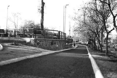 Surface level of empty road along bare trees