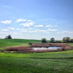 Scenic view of field against sky