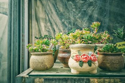 Close-up of potted plant on table