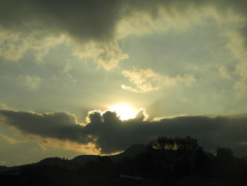 Low angle view of silhouette trees against sky during sunset