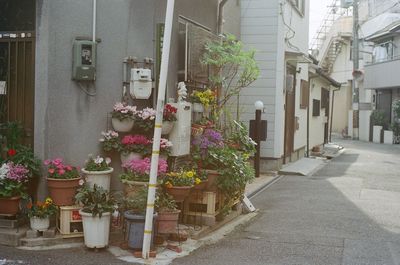 Buildings in city