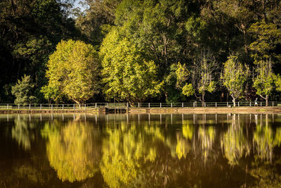 Scenic view of lake