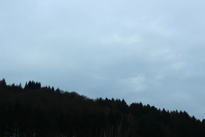 Low angle view of trees against sky