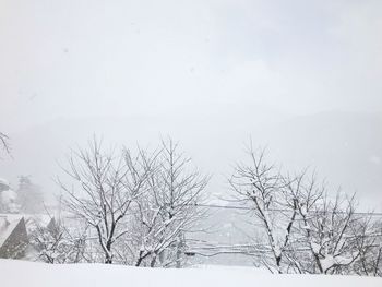 Bare trees on snow covered landscape against sky