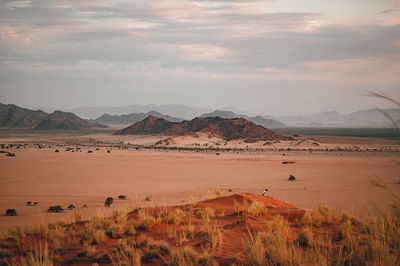 Scenic view of desert against sky