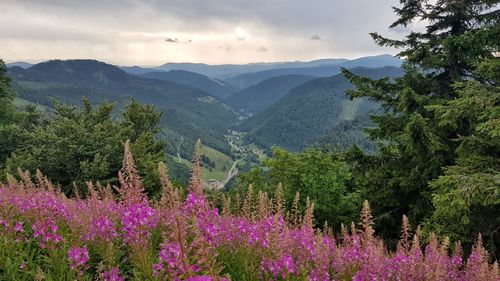 Scenic view of mountains against sky