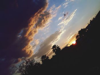 Low angle view of silhouette trees against sky during sunset